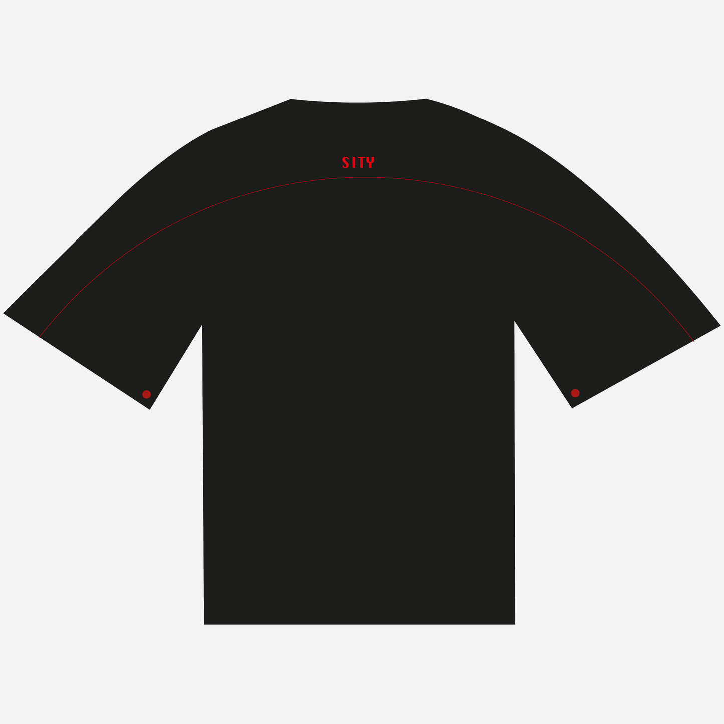 JAPAN TEE-SHIRT